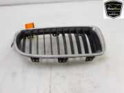 Grill 51137255412 BMW 3 serie (F30) Limousine 320d 2.0 16V EfficientDynamicsEdition (N47-D20C) 2012