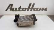 Ladeluftkühler 038906051B Audi A6 Avant (C6) Kombi 3.0 TDI V6 24V Quattro (BMK) 2005-07