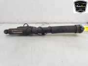 Stoßdämpfer Links Hinten A2053208530 Mercedes-Benz C (W205) Limousine C-350 e 2.0 16V (M274.920) 2015-12