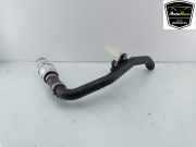 Intercooler Rohr 2828207300 Hyundai i20 (BC3) Schrägheck 5-drs 1.0 T-GDI 100 Mild Hybrid 48V 12V (G3LF) 2022-01