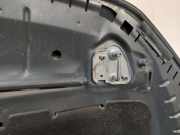 Motorhaube 2G0823031M Volkswagen Polo VI (AW1) Schrägheck 5-drs 1.0 TSI 12V (DLAC) 2022-06 DLAC