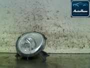 Nebelscheinwerfer Links Vorne 7L6941699B Volkswagen Touareg (7LA/7L6) SUV 3.0 TDI V6 24V (BUN) 2005 BUN