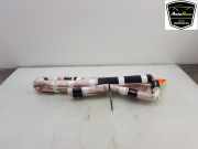 Dachairbag Rechts H1BBA042D94AF Ford Fiesta 7 Schrägheck 1.0 EcoBoost Active 12V Hybrid 125 (B7JC) 2021