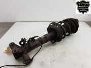 Stoßdämpfer Links Vorne A2043230900 Mercedes-Benz E (R207) Cabrio E-350 CDI V6 24V (OM642.836) 2010