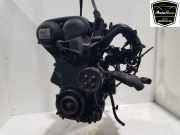 Motor 1713369 Ford Fiesta 6 (JA8) Schrägheck 1.25 16V (STJD) 2010-04