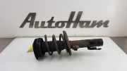 Stoßdämpfer Rechts Vorne 543020054R Renault Megane III Coupe (DZ) Schrägheck 3-drs 2.0 16V RS Turbo (F4R-M874) 2011