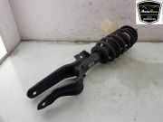 Stoßdämpfer Rechts Vorne 128836899B Tesla Model Y (5YJY) SUV Long Range,Performance (4D1) 2023-05