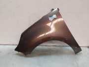 Kotflügel Links Vorne 631017581R Renault Grand Scénic III (JZ) Großraumlimousine 1.4 16V TCe 130 (H4J-700(H4J-A7)) 2009-07