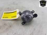 Nebelscheinwerfer Rechts Vorne 13497330 Opel Corsa F (UB/UH/UP) Schrägheck 5-drs 1.2 Turbo 12V 100 (F12XHL(EB2ADTD)) 2020