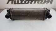 Ladeluftkühler 4999282 Ford Transit Connect Van 1.8 TDCi 90 (RWPF) 2009-05