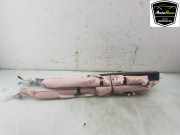 Dachairbag Links LV4BS042D95AK Ford Kuga III (DFK) SUV 2.5 PHEV 16V (BGDA) 2022-01