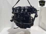Motor 1713369 Ford Fiesta 6 (JA8) Schrägheck 1.25 16V (STJD) 2010-04