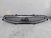 Grill 865801Y000 Kia Picanto (TA) Schrägheck 1.0 12V (G3LA) 2014-01