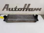 Ladeluftk?hler 91166035 Opel Vivaro Van 1.9 DTI 16V (F9Q-760) 2006-03