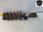 Stoßdämpfer Links Vorne 2N0413031BF Volkswagen Crafter (SY) Van 2.0 TDI FWD (DNAD) 2019 DAUB