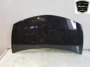 Motorhaube 7751476113 Renault Clio III Estate/Grandtour (KR) Kombi 1.2 16V TCE 100 (D4F-784) 2009