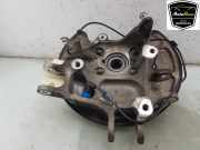 Achsschenkel Links Hinten 1902300 Mercedes-Benz AMG GT (C190) Coupé 4.0 R V8 Biturbo (M178.980) 2019-07