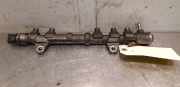 Einspritzdüsen Düsenstock 55232355 Fiat Punto Evo (199) Schrägheck 1.3 JTD Multijet 85 16V (199.B.4000(Euro 5)) 2011-02