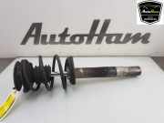 Stoßdämpfer Links Vorne 31311096862 BMW 5 serie Touring (E39) Kombi 530d 24V (M57-D30(306D1)) 2002
