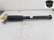 Stoßdämpfer Links Hinten 104446101E Tesla Model 3 Limousine Standard RWD Plus, Long Range RWD (3D5) 2023