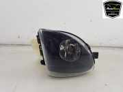 Nebelscheinwerfer Rechts Vorne 63177216886 BMW 5 serie (F10) Limousine 520i 16V (N20-B20B) 2012-08