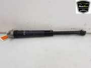 Stoßdämpfer Rechts Hinten 2Q0512013BF Seat Ibiza V (KJB) Schrägheck 5-drs 1.0 TSI 12V (DLAC) 2023-03