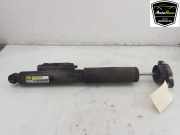 Stoßdämpfer Links Hinten A2053201300 Mercedes-Benz C-Klasse AMG (W205) Limousine C-63 S,Edition 1 AMG 4.0 V8 Biturbo (M177.980) 2016-02