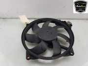 Lüfter 214812415R Renault Megane III Coupe (DZ) Schrägheck 3-drs 2.0 16V RS Turbo (F4R-M874) 2010