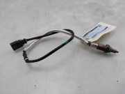 Lambdasonde 06K906262DN Volkswagen Golf VIII (CD1) Schrägheck 2.0 GTI Clubsport 16V (DNFC) 2025-03 DNFC