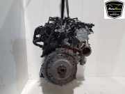 Motor 06N100033 Audi A4 Avant (B9) Kombi 2.0 40 TFSI Mild hybrid 16V (DMSA) 2020-11