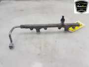 Einspritzdüsen Düsenstock 06Q133317B Cupra Formentor SUV 2.0 TSI 16V 4Drive (DNFB) 2021 DNFB