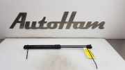 Gasdruckfedern Set Hinten 39021480 Opel Astra K Schrägheck 5-drs 1.0 SIDI Turbo 12V (B10XFL) 2016