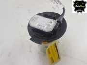 Kraftstoffpumpe Elektrisch 9834087480 Peugeot 308 (F3/FB/FH/FM/FP) Schrägheck 5-drs 1.6 16V HYbrid 225 (EP6FADTXHPD(DGY)) 2022-01
