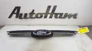 Grill 2048467 Ford Focus 3 Wagon Kombi 1.6 TDCi ECOnetic (NGDA) 2013-10