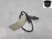 Lambdasonde 079906262Q Audi RS 4 Avant (B8) Kombi 4.2 V8 32V (CFSA) 2015