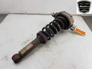 Stoßdämpfer Links Hinten 7L8512021BA Audi Q7 (4LB) SUV 3.0 TDI V6 24V (BUG) 2007-01