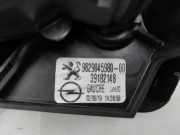 Fensterheber Links Hinten 9829045980 Opel Corsa F (UB/UH/UP) Schrägheck 5-drs 1.2 Turbo 12V 130 (F12XHT(EB2ADTS)) 2021-05