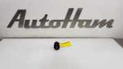 Start/stop Schalter 61319250734 BMW 1 serie (F20) Schrägheck 5-drs 114i 1.6 16V (N13-B16A) 2014