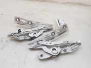 Motorhaubescharnier AM5116800AHRH Ford Transit Connect (PJ2) Van 1.6 TDCi 16V 95 (TZGB(Euro 5)) 2015-04