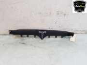 Grill 104702100E Tesla Model X SUV 75D (A0003K8775D) 2018-11