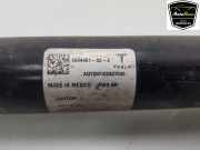 Stoßdämpfer Rechts Hinten 104446101E Tesla Model 3 Limousine Long Range AWD 75 kWh (3D7) 2020-03