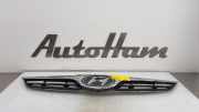 Grill 863501J0000A Hyundai i20 Schrägheck 1.2i 16V (G4LA) 2010-03