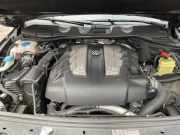 Motor 059100099E Volkswagen Touareg (7PA/PH) SUV 3.0 TDI V6 24V BlueMotion Technology DPF (CJGD(Euro 5)) 2012-06 CJGD(Euro 5)