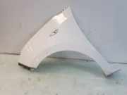 Kotflügel Links Vorne 66311B9010 Hyundai i10 Schrägheck 1.0 12V (G3LD) 2019