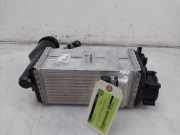 Ladeluftkühler 05E145785D Volkswagen Tiguan (CT1) SUV 1.5 eHybrid 272 (DUCA) 2025-06 DUCA