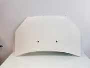 Motorhaube 51841326 Fiat Doblo Cargo (223) Van 1.3 D 16V Multijet (199.A.2000) 2006-09