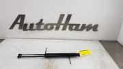 Gasdruckfedern Set Hinten 887432 BMW 1 serie (F20) Schrägheck 5-drs 118d 2.0 16V (B47-D20A) 2016-12