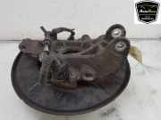 Achsschenkel Links Hinten 95833161110 Porsche Cayenne II (92A) SUV 3.0 S E-Hybrid 24V (MCG.EA) 2015-12