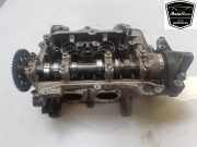 Zylinderkopf 55251603 Fiat 500 (312) Schrägheck 0.9 TwinAir 60 (312.A.6000) 2015-03