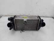Ladeluftkühler 2827007350 Hyundai i20 (BC3) Schrägheck 5-drs 1.0 T-GDI 100 Mild Hybrid 48V 12V (G3LF) 2021-12